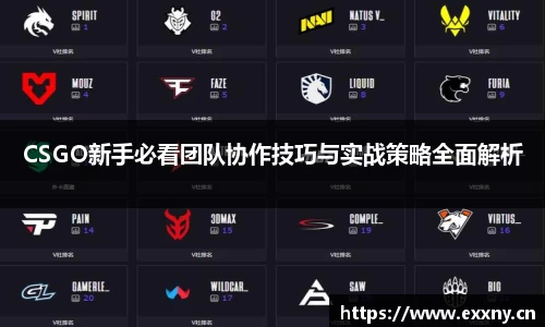 CSGO新手必看团队协作技巧与实战策略全面解析